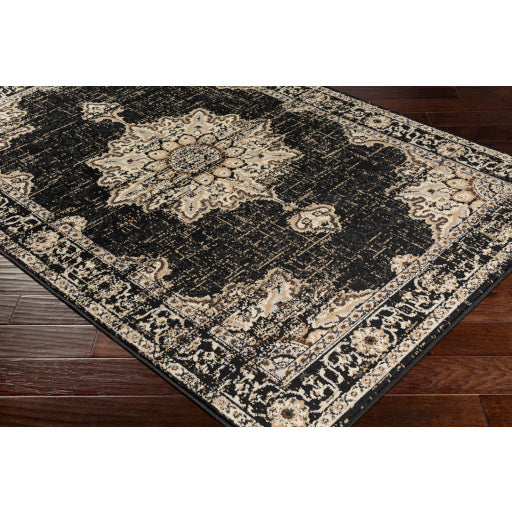 Surya Paramount PAR-1089 Black Traditional  Rug