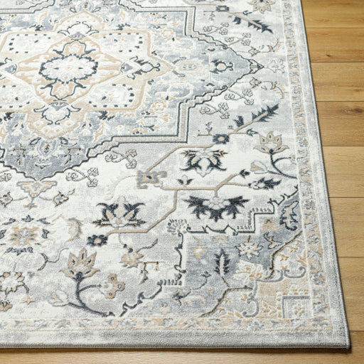 Surya Perception PCP-2317 Ivory Traditional  Rug