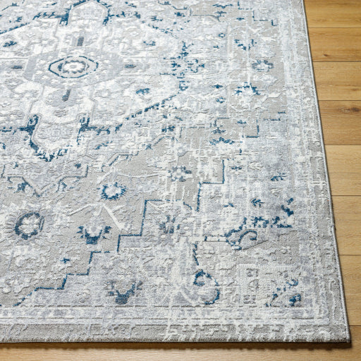 Surya Perception PCP-2318 Light Gray Traditional  Rug