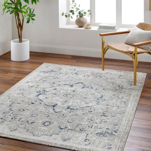 Surya Perception PCP-2318 Light Gray Traditional  Rug