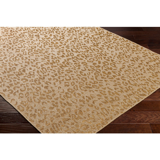 Surya Pismo Beach PMB-2300 Tan Modern  Rug