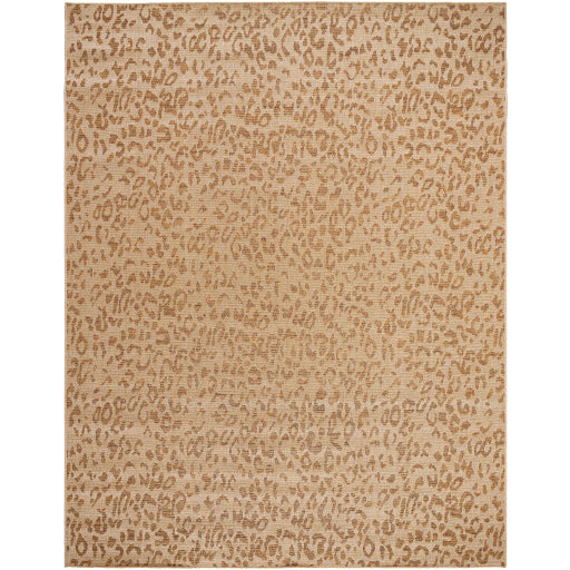 Surya Pismo Beach PMB-2300 Tan Modern  Rug