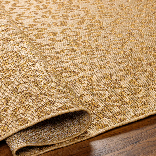 Surya Pismo Beach PMB-2300 Tan Modern  Rug