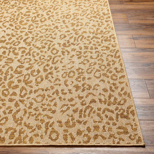 Surya Pismo Beach PMB-2300 Tan Modern  Rug