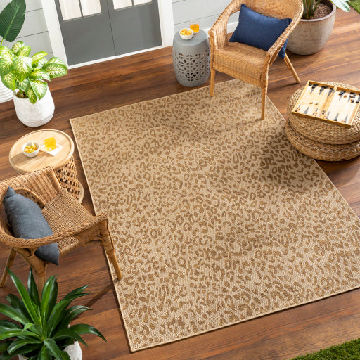 Surya Pismo Beach PMB-2300 Tan Modern  Rug