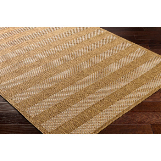 Surya Pismo Beach PMB-2302 Amber Modern  Rug