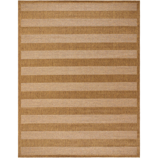 Surya Pismo Beach PMB-2302 Amber Modern  Rug