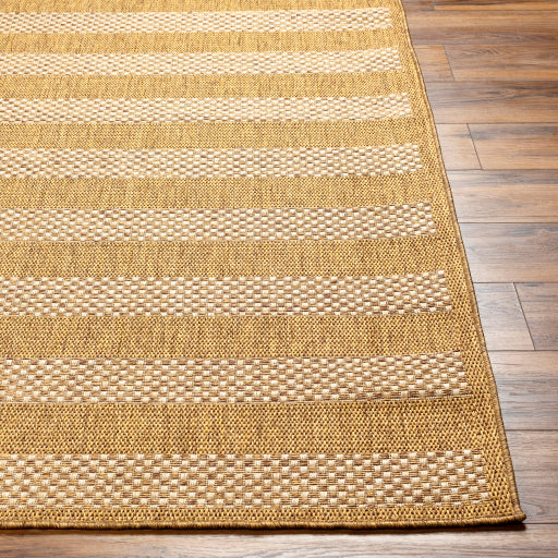 Surya Pismo Beach PMB-2302 Amber Modern  Rug