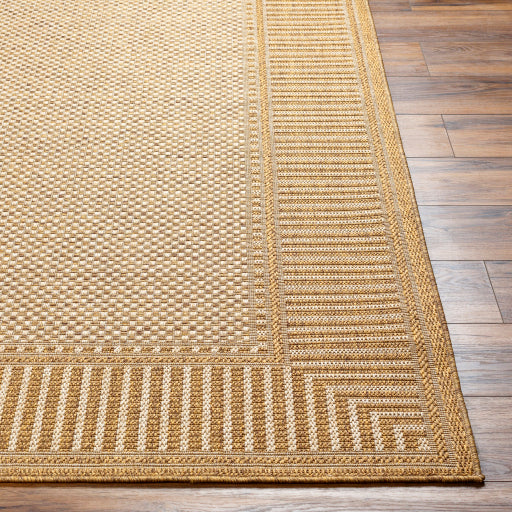 Surya Pismo Beach PMB-2303 Tan Modern  Rug