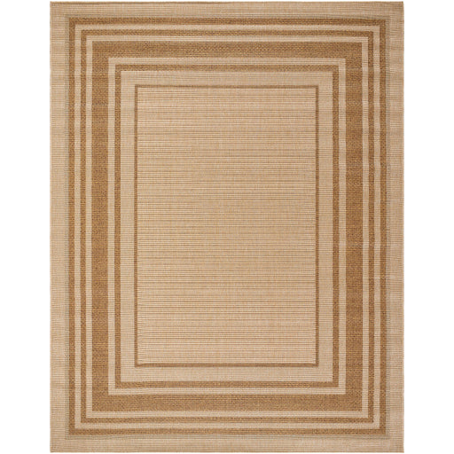 Surya Pismo Beach PMB-2304 Tan Modern  Rug