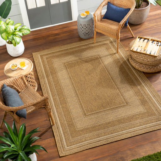 Surya Pismo Beach PMB-2307 Tan Modern  Rug