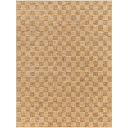 Surya Pismo Beach PMB-2310 Amber Modern  Rug