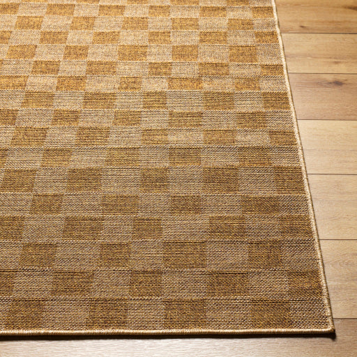 Surya Pismo Beach PMB-2310 Amber Modern  Rug