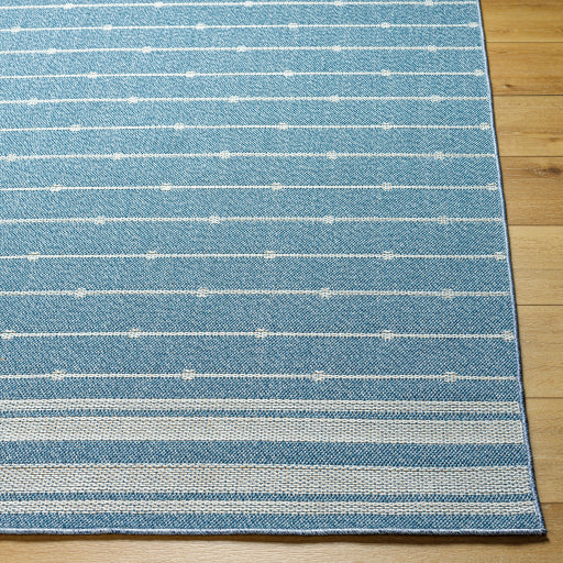 Surya Pismo Beach PMB-2312 Blue Cottage  Rug