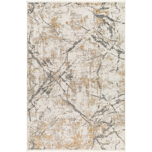 Surya Perugia PRG-2310 Cream Modern  Rug