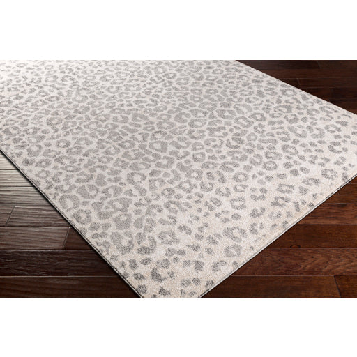 Surya Positano PSN-2305 Charcoal Modern  Rug