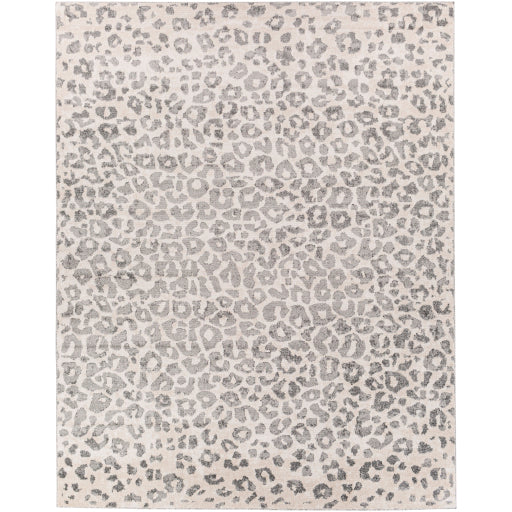 Surya Positano PSN-2305 Charcoal Modern  Rug