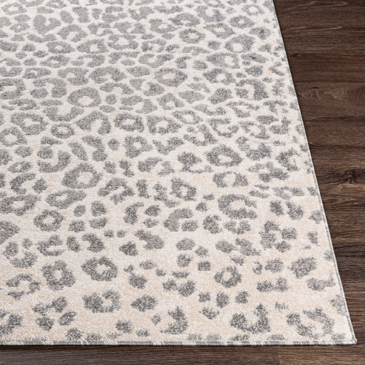 Surya Positano PSN-2305 Charcoal Modern  Rug