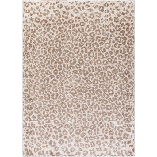 Surya Positano PSN-2306 Medium Brown Modern  Rug