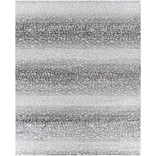 Surya Positano PSN-2313 Charcoal Modern  Rug