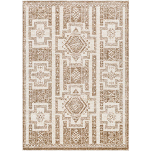 Surya Positano PSN-2314 Brown Global  Rug