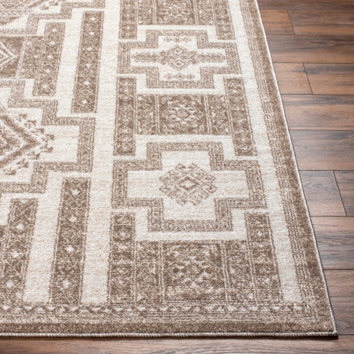 Surya Positano PSN-2314 Brown Global  Rug