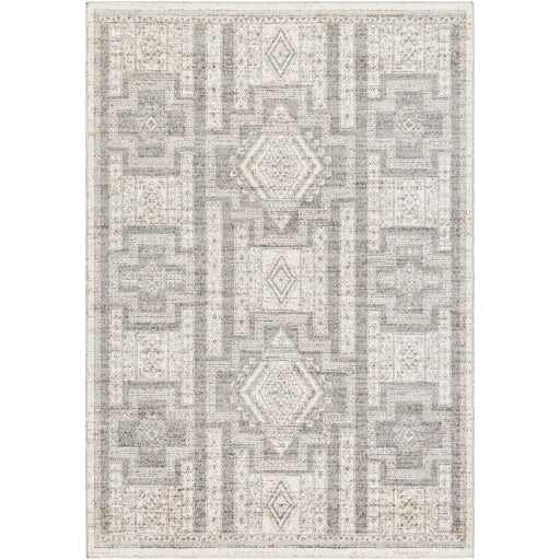 Surya Positano PSN-2316 Gray Global  Rug