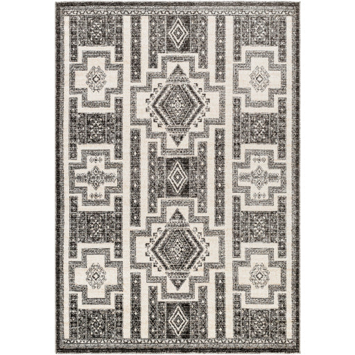 Surya Positano PSN-2317 Black Global  Rug