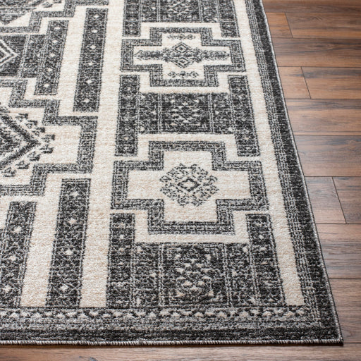 Surya Positano PSN-2317 Black Global  Rug