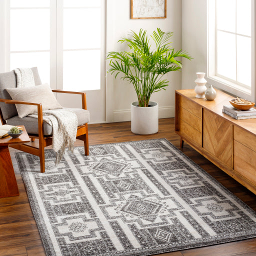 Surya Positano PSN-2317 Black Global  Rug