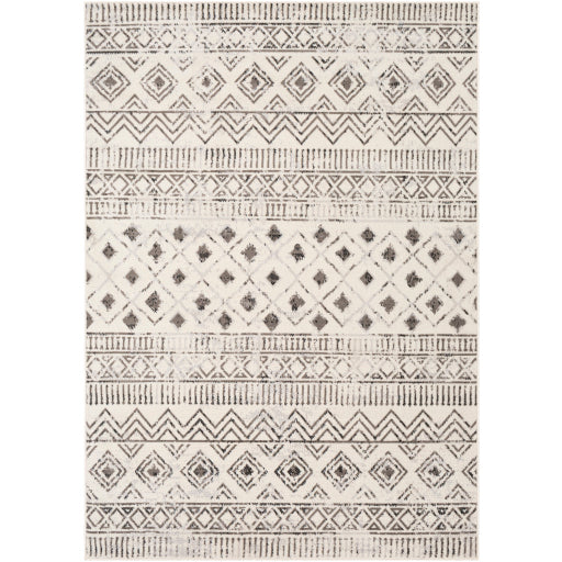 Surya Pisa PSS-2305 Charcoal Global  Rug