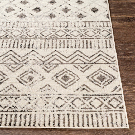 Surya Pisa PSS-2305 Charcoal Global  Rug