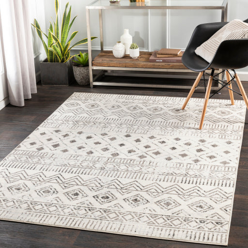 Surya Pisa PSS-2305 Charcoal Global  Rug