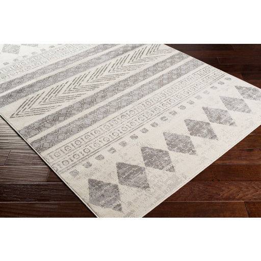 Surya Pisa PSS-2306 Medium Gray Global  Rug