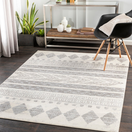 Surya Pisa PSS-2306 Medium Gray Global  Rug