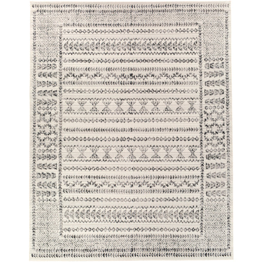 Surya Pisa PSS-2313 Charcoal Global  Rug