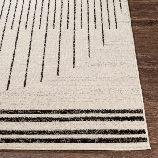 Surya Pisa PSS-2315 Black Modern  Rug