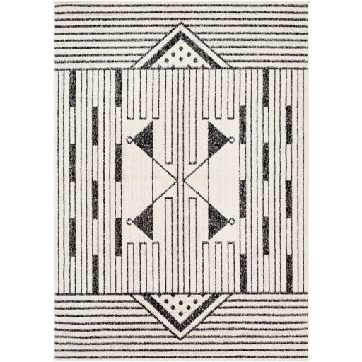 Surya Pisa PSS-2316 Black Modern  Rug