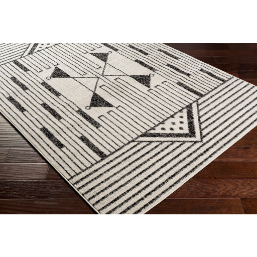 Surya Pisa PSS-2316 Black Modern  Rug