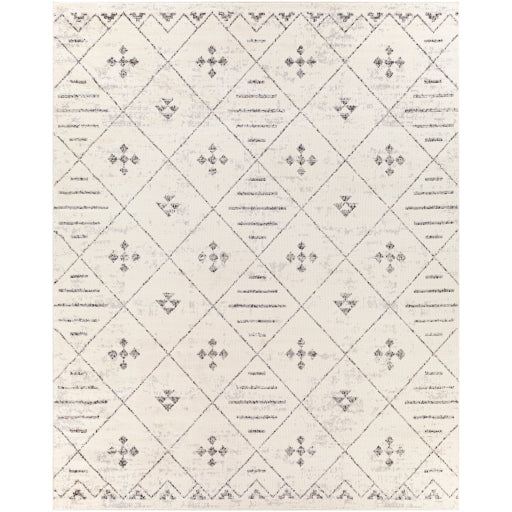 Surya Pisa PSS-2317 Medium Gray Global  Rug