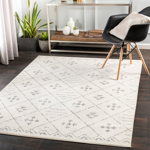 Surya Pisa PSS-2317 Medium Gray Global  Rug