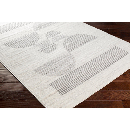 Surya Pisa PSS-2319 Light Gray Modern  Rug