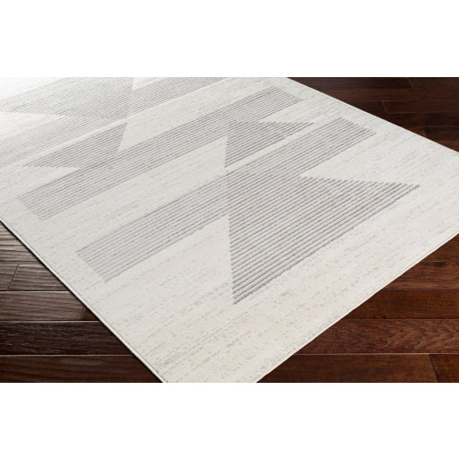 Surya Pisa PSS-2321 Light Gray Modern  Rug