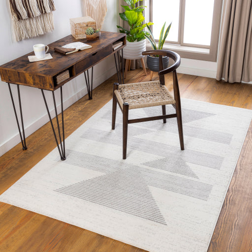 Surya Pisa PSS-2321 Light Gray Modern  Rug