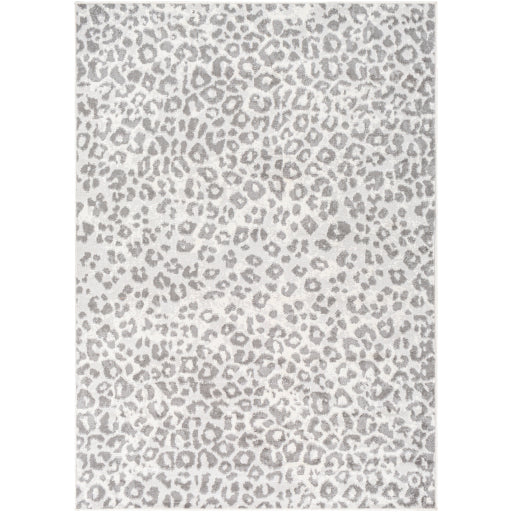 Surya Pisa PSS-2323 Light Gray Modern  Rug