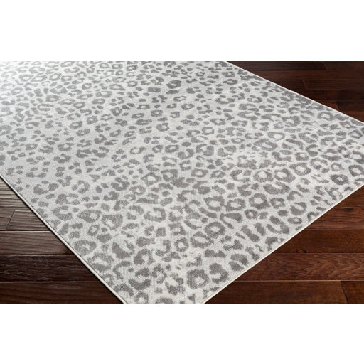 Surya Pisa PSS-2323 Light Gray Modern  Rug