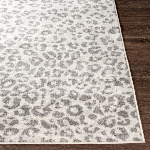 Surya Pisa PSS-2323 Light Gray Modern  Rug