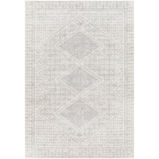 Surya Pisa PSS-2345 Light Gray Global  Rug