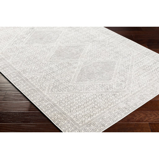 Surya Pisa PSS-2345 Light Gray Global  Rug