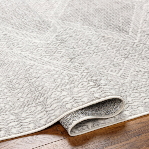 Surya Pisa PSS-2345 Light Gray Global  Rug